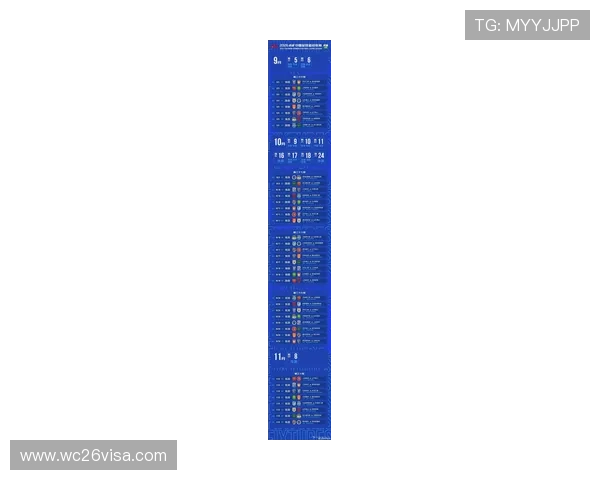 2026年世界杯预选赛中国队阵容最佳搭配方案及关键球员介绍